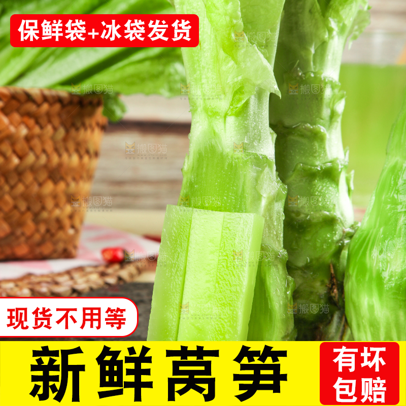浅底上的莴笋