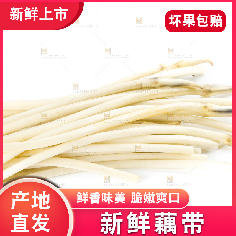 白底上的新鲜藕带