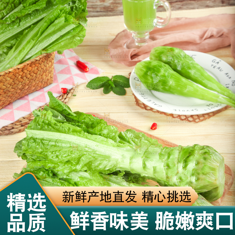 浅底上的莴笋