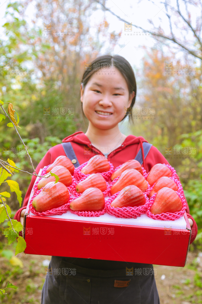 手里拿着黑金刚莲雾