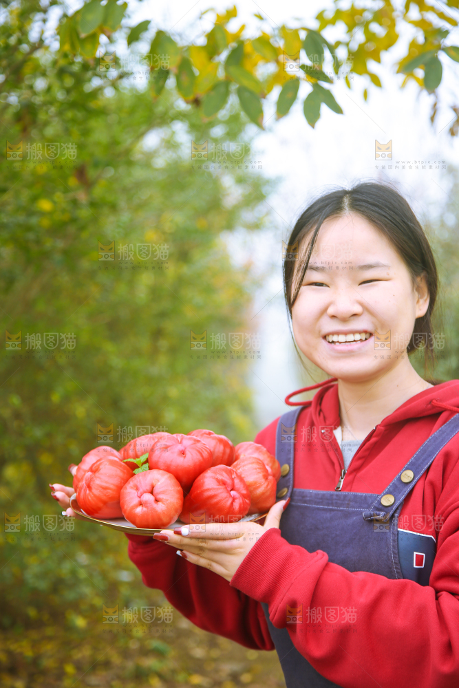 手里拿着黑金刚莲雾