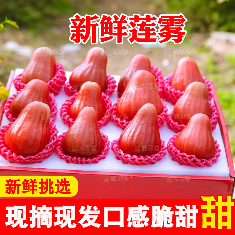 手里拿着黑金刚莲雾