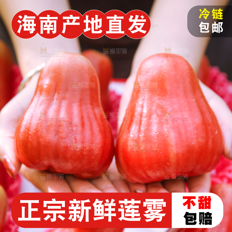 手里拿着黑金刚莲雾