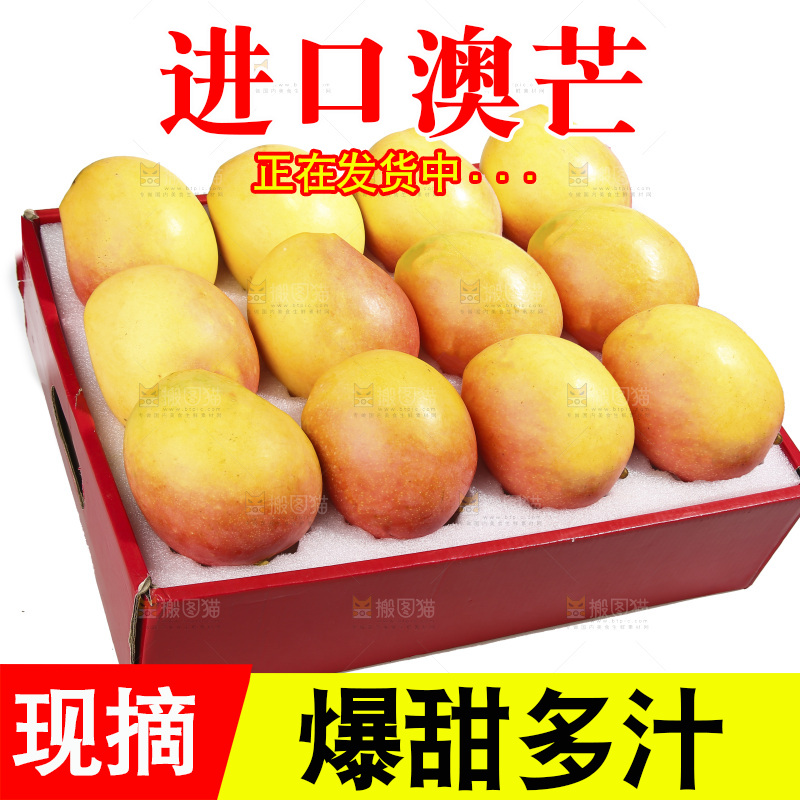 白底上的澳芒