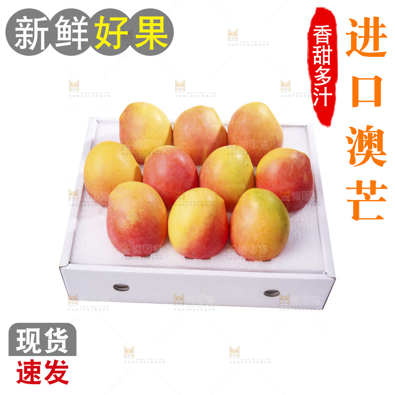 白底上的澳芒