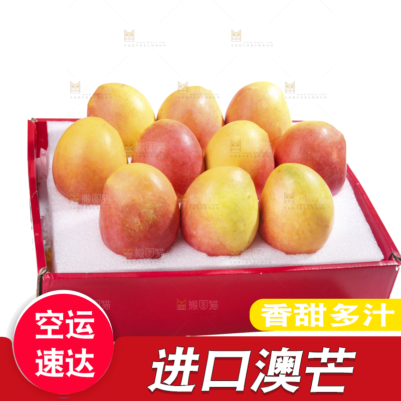 白底上的澳芒