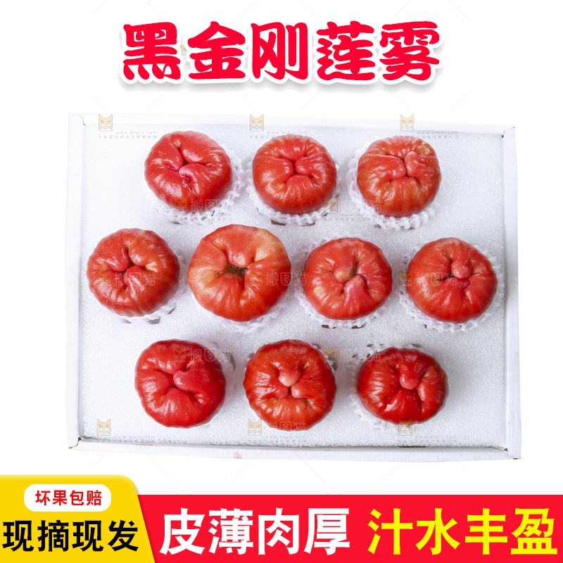 白底上的新鲜莲雾