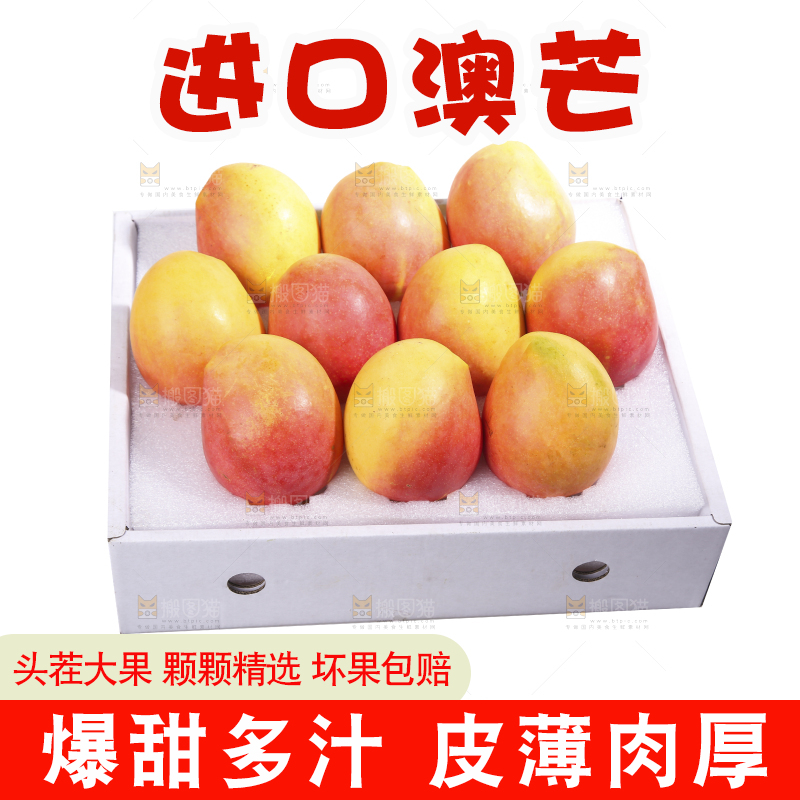 白底上的澳芒