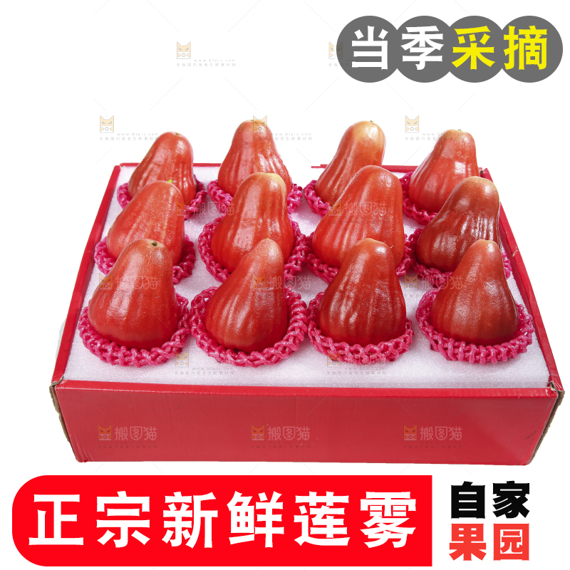 白底上的新鲜莲雾