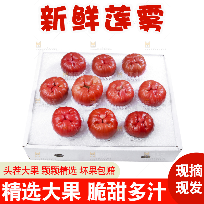 白底上的新鲜莲雾