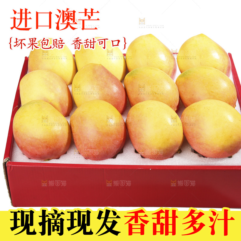 白底上的澳芒