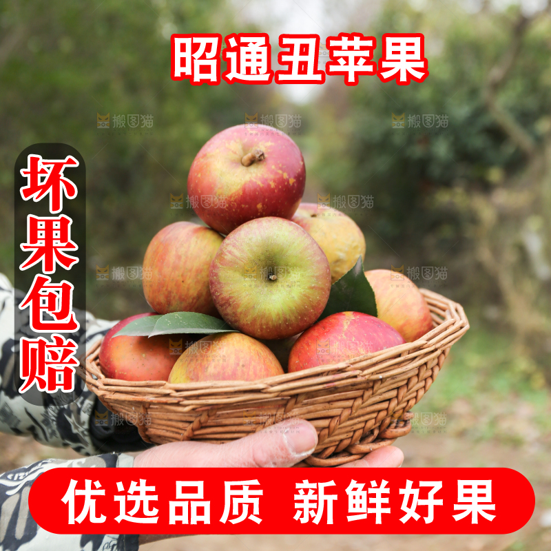 手里拿着昭通丑苹果