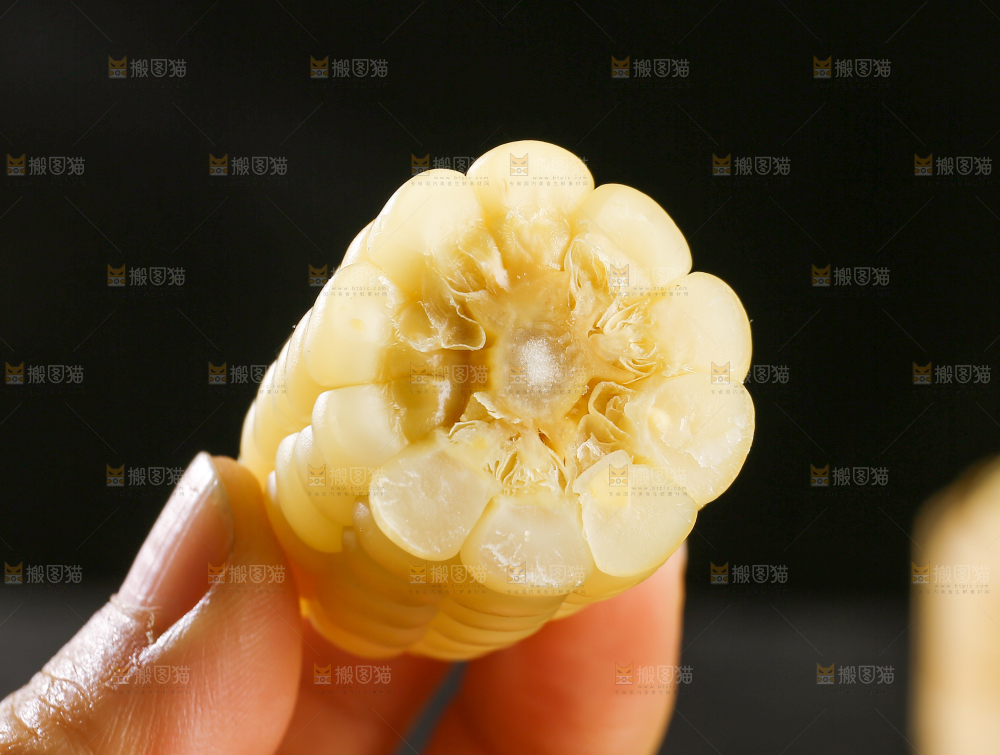 深底上的拇指小玉米