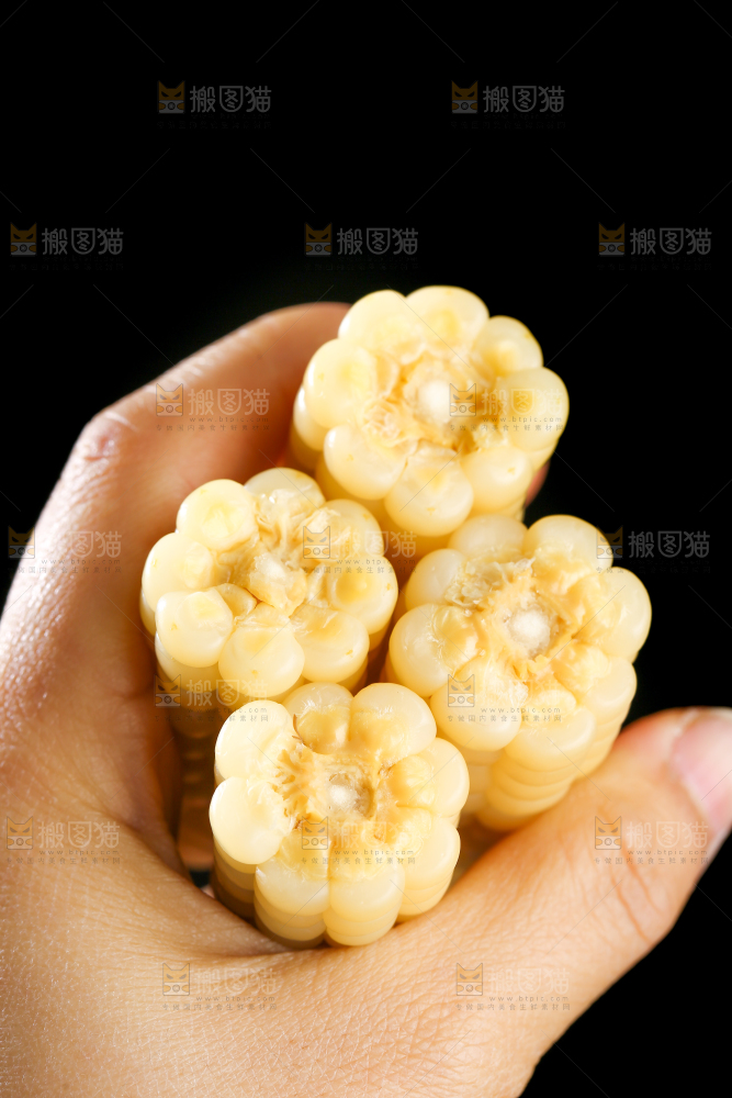 深底上的拇指小玉米