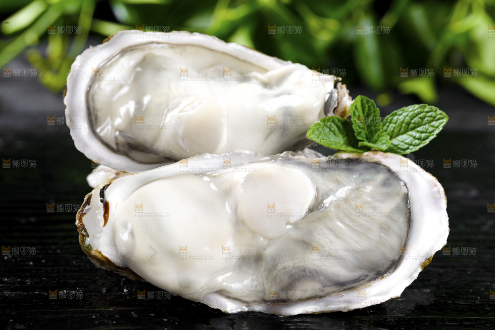 深底上的乳山生蚝