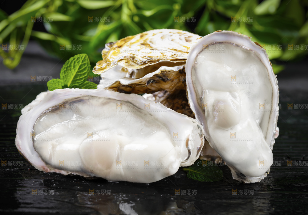 深底上的乳山生蚝