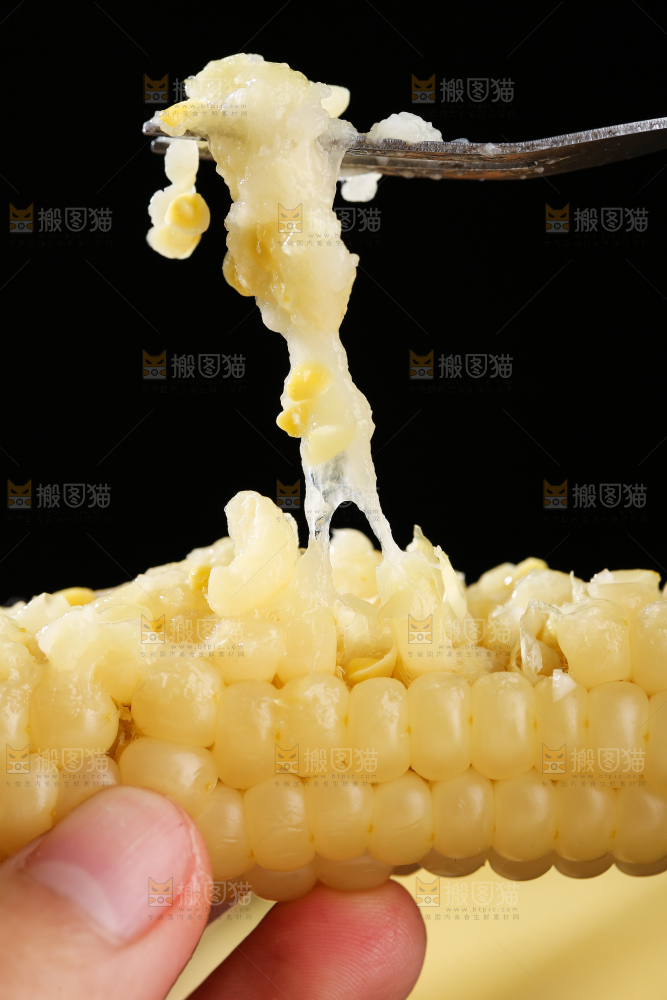 深底上的拇指小玉米
