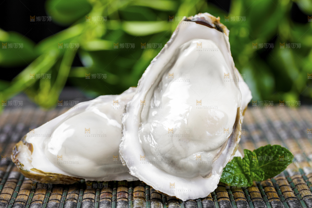 生蚝
