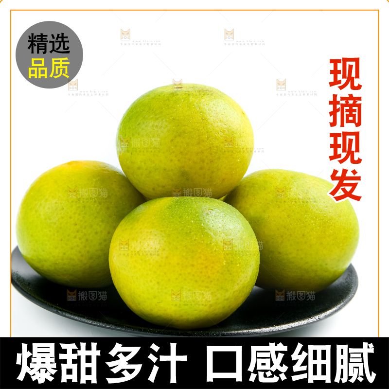白底上的皇帝柑