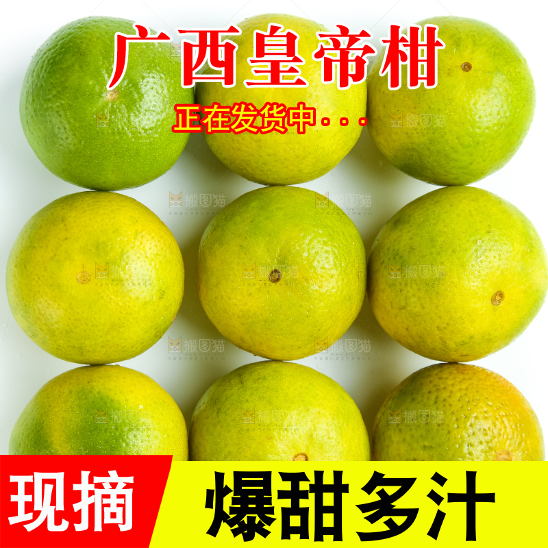 白底上的皇帝柑