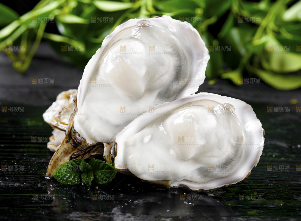 深底上的乳山生蚝