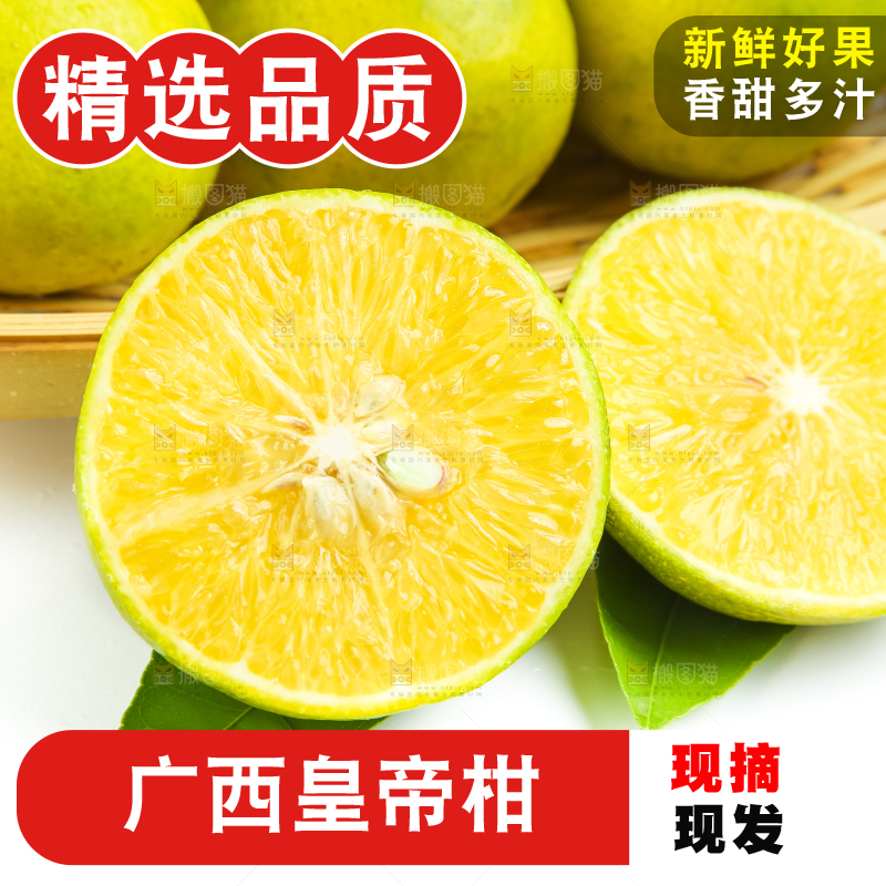 白底上的皇帝柑