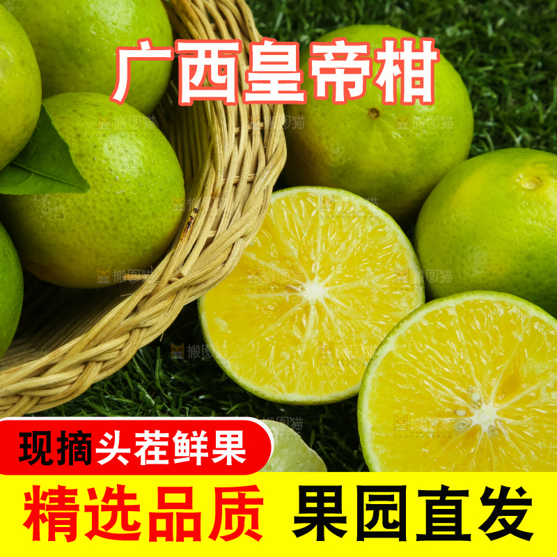 深底上的皇帝柑