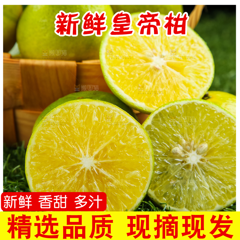 深底上的皇帝柑