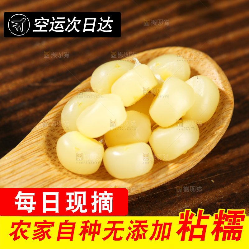 深底上的拇指小玉米