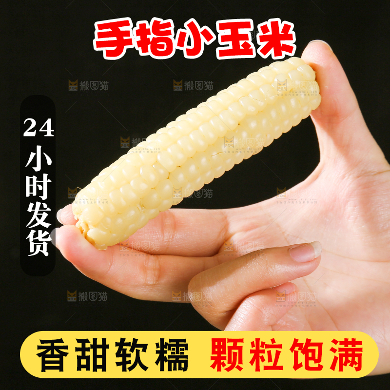 深底上的拇指小玉米