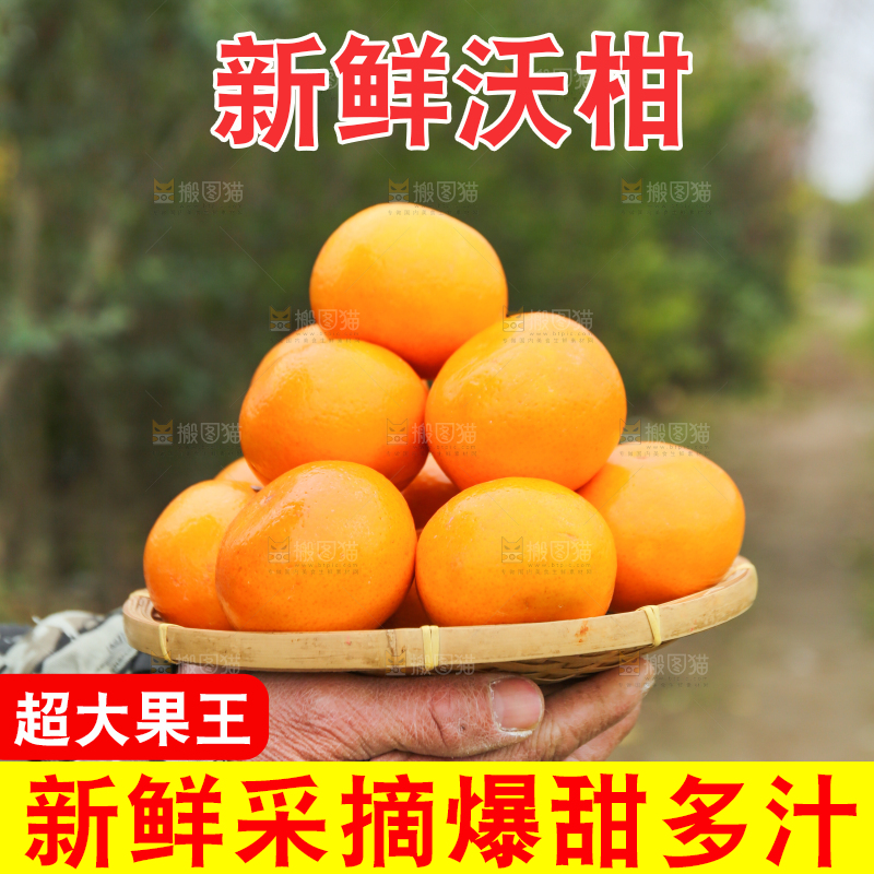 手里拿着沃柑