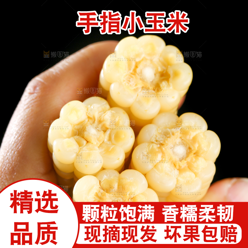 深底上的拇指小玉米