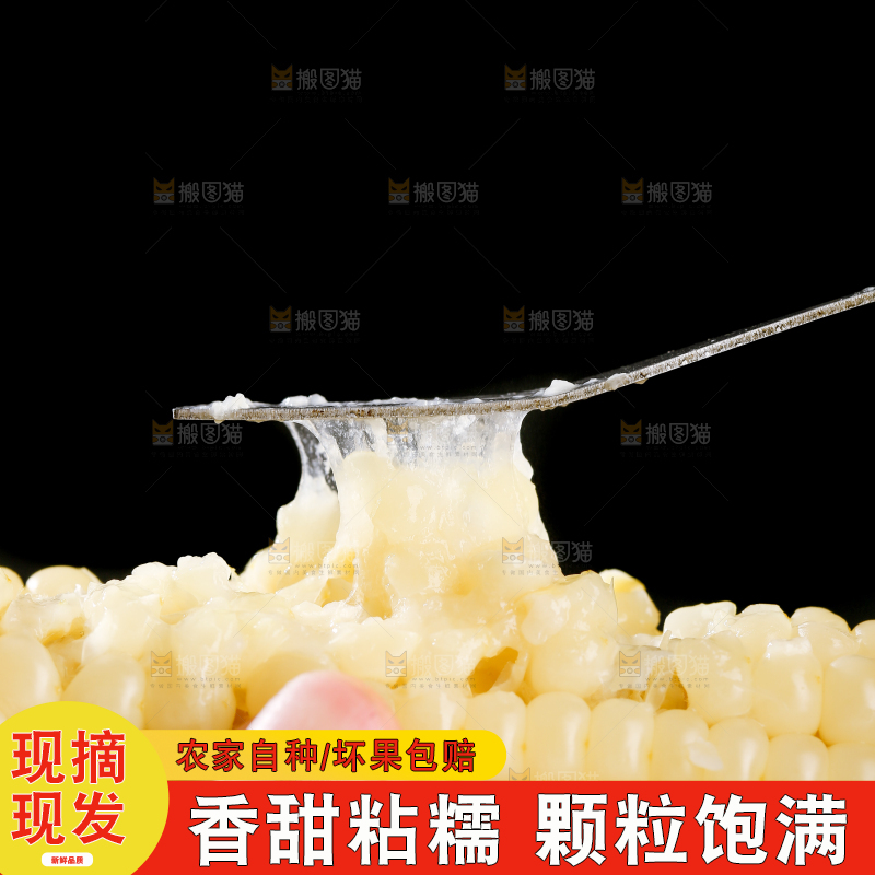 深底上的拇指小玉米