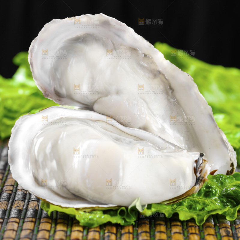 深底上的乳山生蚝