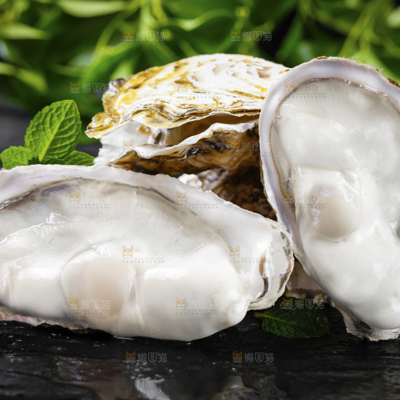 深底上的乳山生蚝