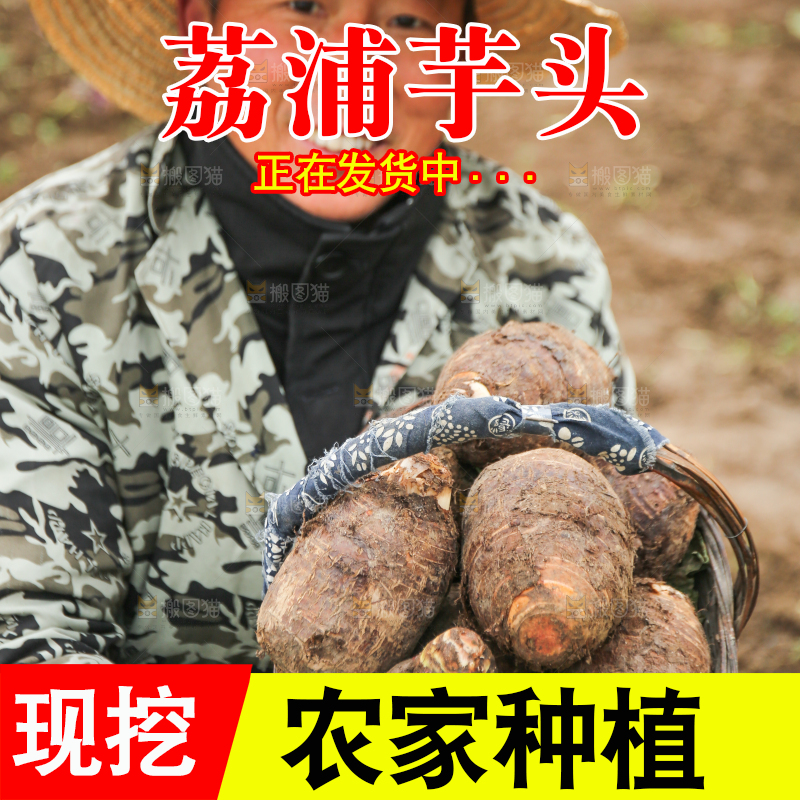 手里拿着荔浦芋头