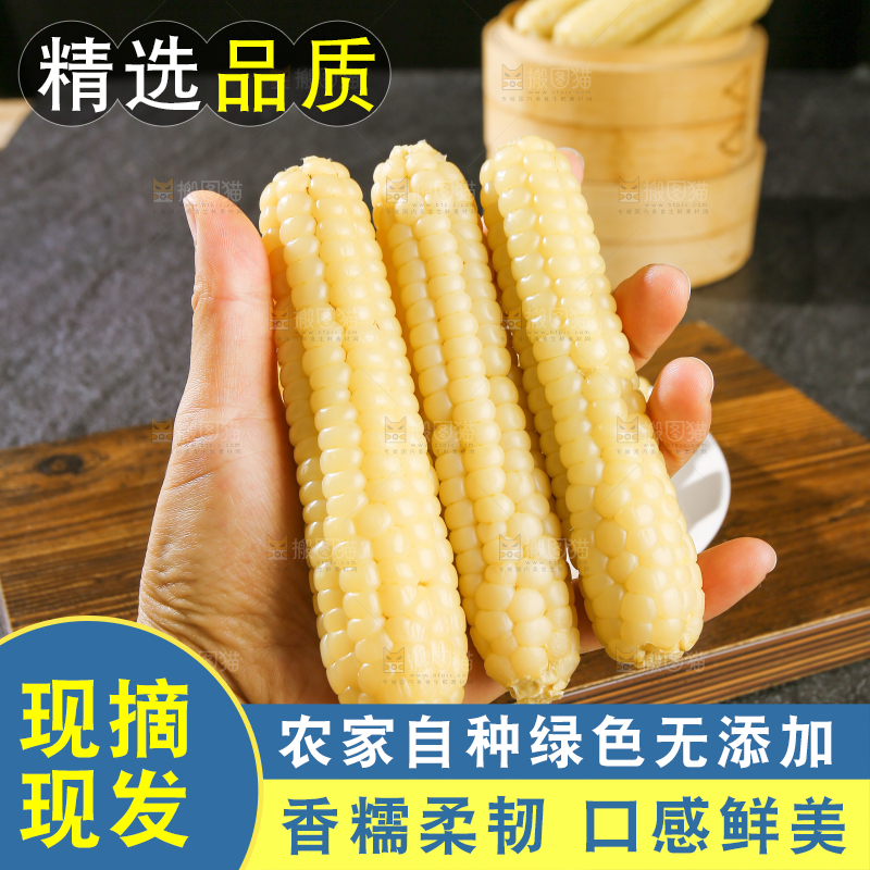 深底上的拇指小玉米