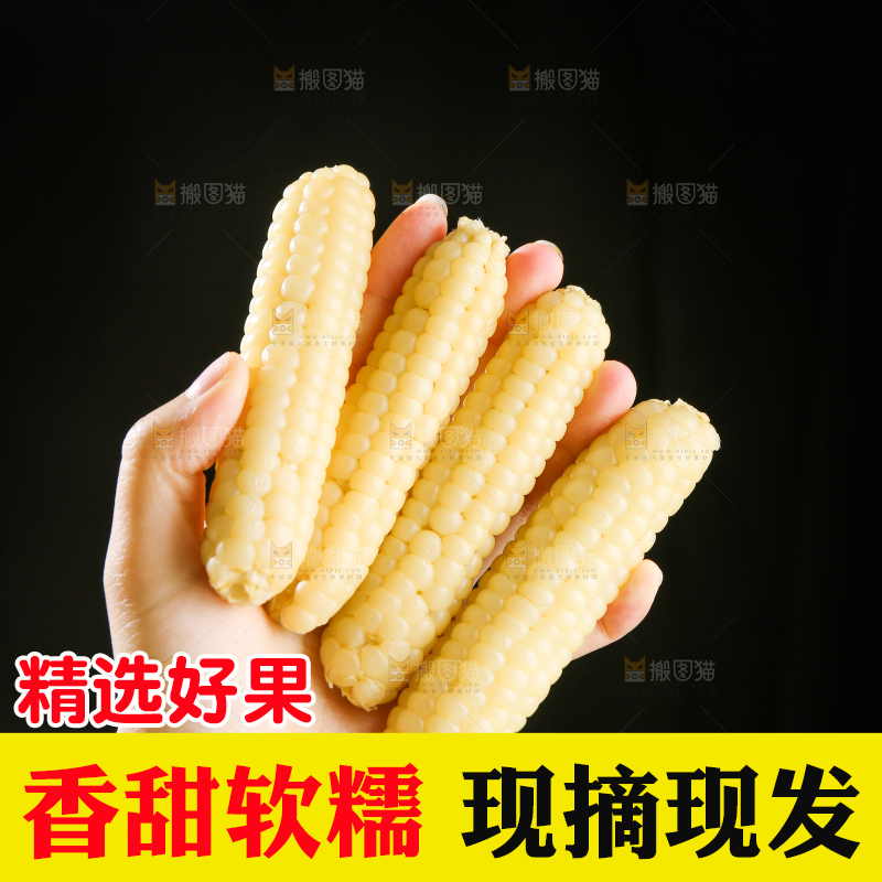 深底上的拇指小玉米