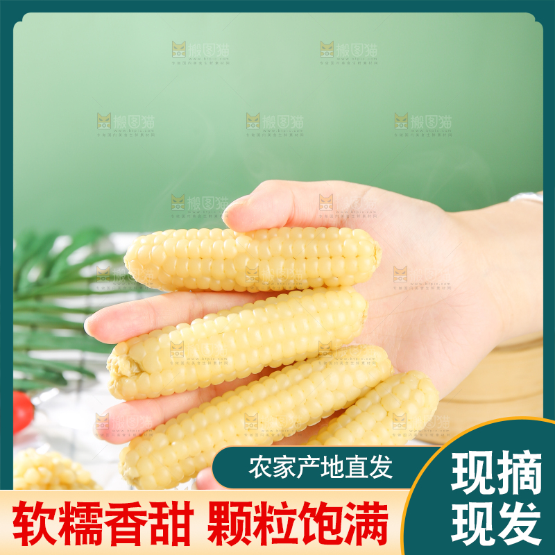 浅底上的手指糯玉米