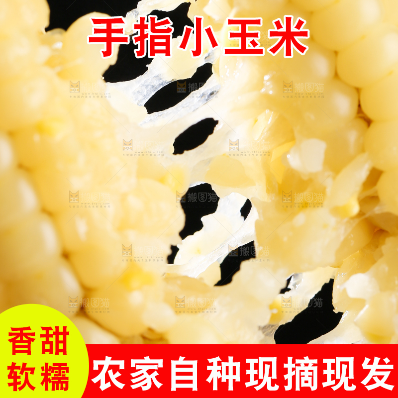 深底上的拇指小玉米