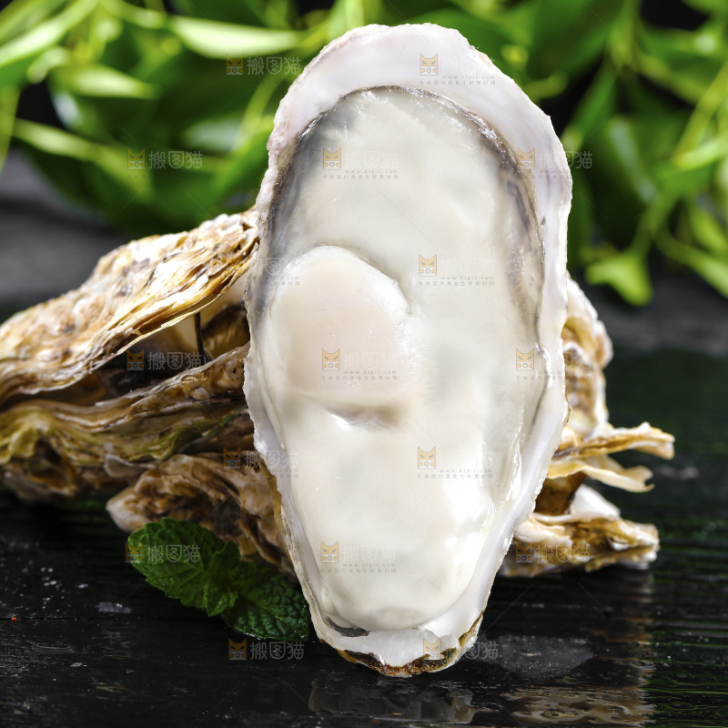 深底上的乳山生蚝