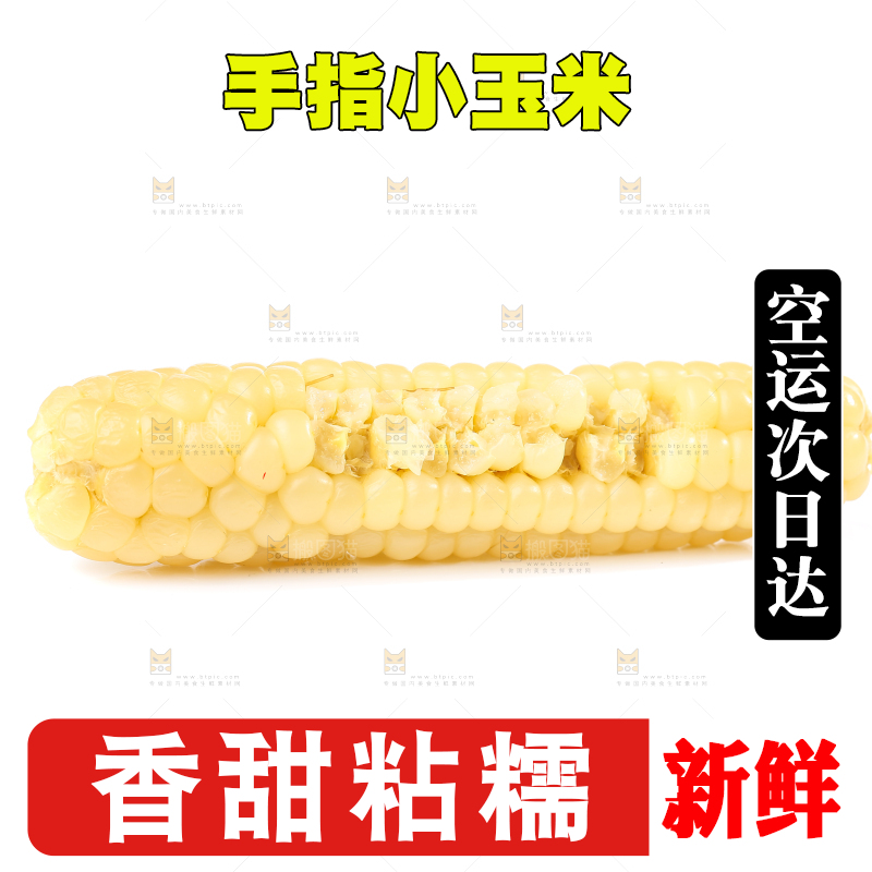 白底上的手指糯玉米