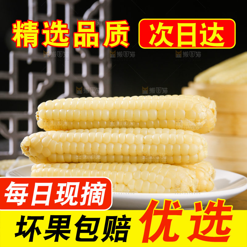 深底上的拇指小玉米