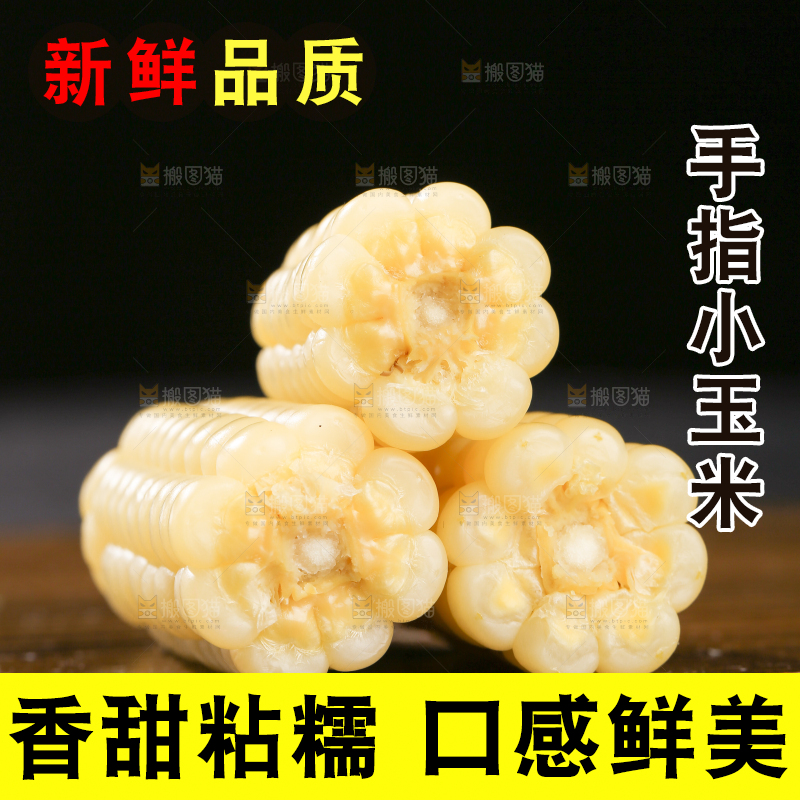 深底上的拇指小玉米