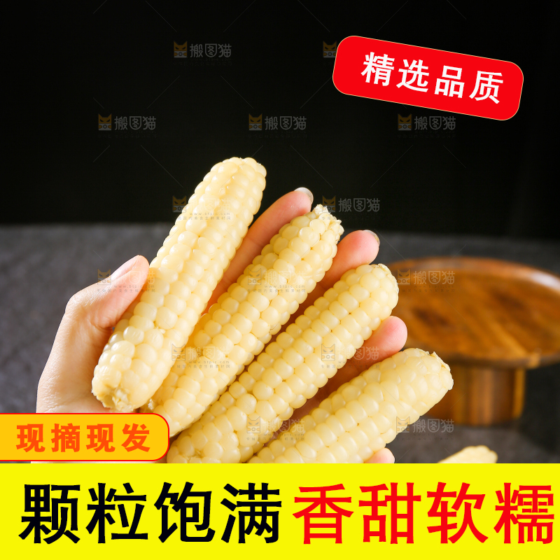 深底上的拇指小玉米