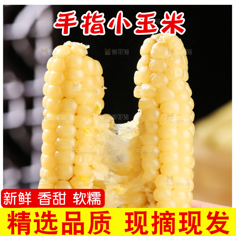 深底上的拇指小玉米