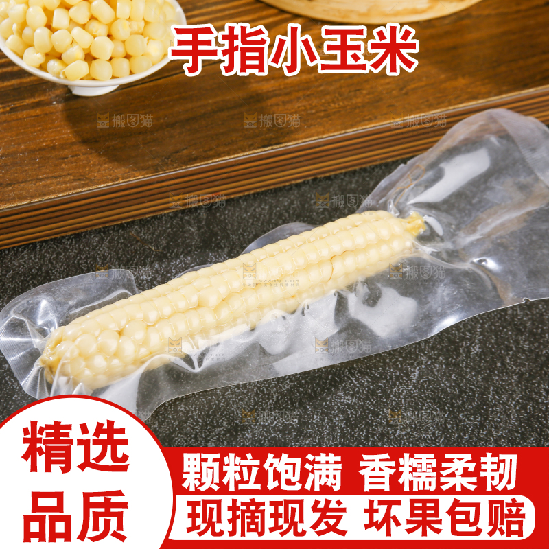 深底上的拇指小玉米