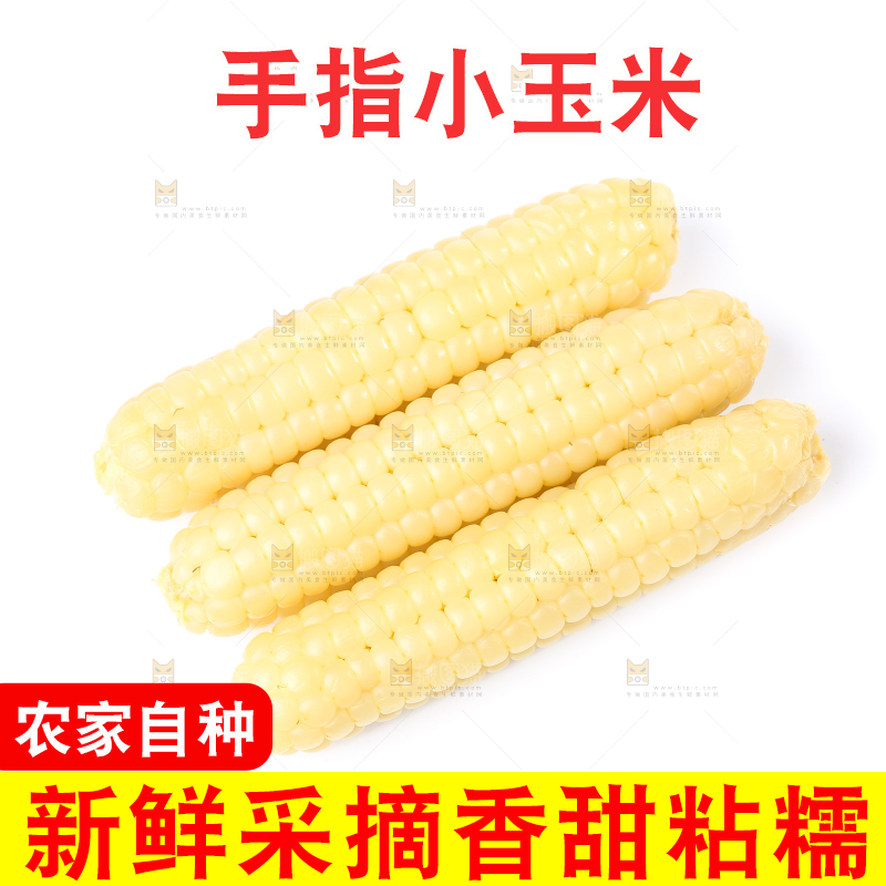 白底上的手指糯玉米