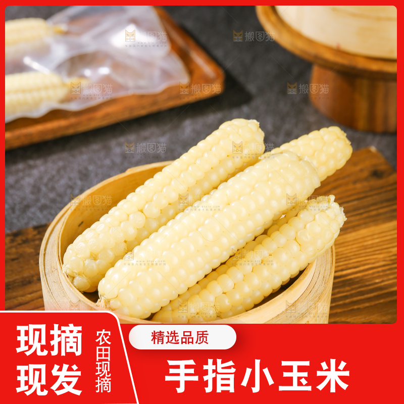 深底上的拇指小玉米
