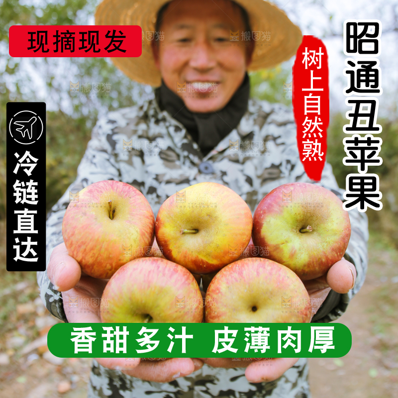 手里拿着昭通丑苹果